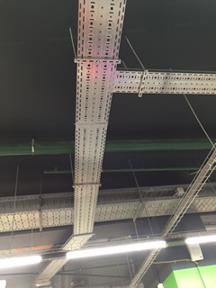 image1.JPG